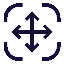 biometric identity verification system